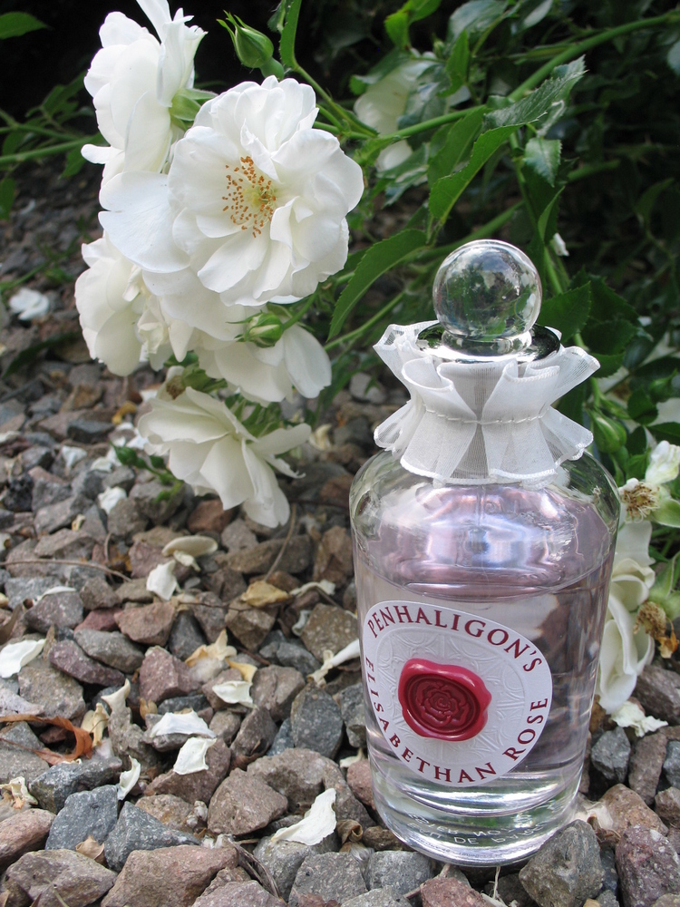 潘海利根伊丽莎白玫瑰penhaligonelisabethanrose