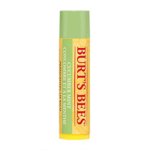 burtsbees小蜜蜂天然黄瓜薄荷润唇膏425g